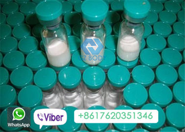 Triptorelin Acetate Protein Peptide Hormones 2mg / Vial CAS 57773-63-4
