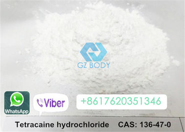 Tetracaine Hydrochloride Raw Steroid Powders White Powder Form CAS 120-51-4