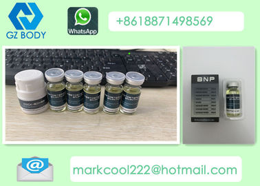 Effective Testosterone Enanthate Powder , 250mg / Ml Legal Injectable Steroids