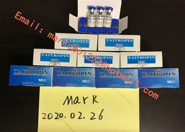 No Side Effect Steroids HGH Taitropin Growth Hormone In White Powder 10iu*10vials For Nice Muscle