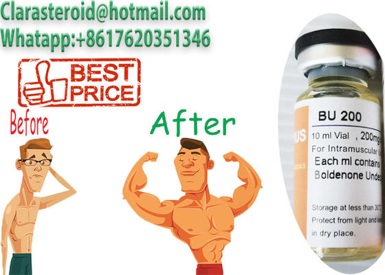 13103 34 9 Injectable Anabolic Steroids Oil Boldenone Undecylenate 300mg/Ml