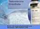 ISO9001 Testosterone Steroid Hormone Powder 206 253 5 For Bodybuilding
