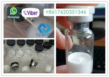 1mg / Vial GDF8 Myostatin , Muscle Building White Freeze Dried Powder