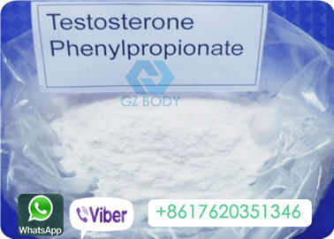 Phenylpropionate Testosterone Anabolic Steroid CAS 1255-49-8 High Purity